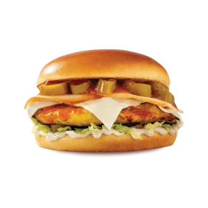 Burner chicken - بيرنر تشكن